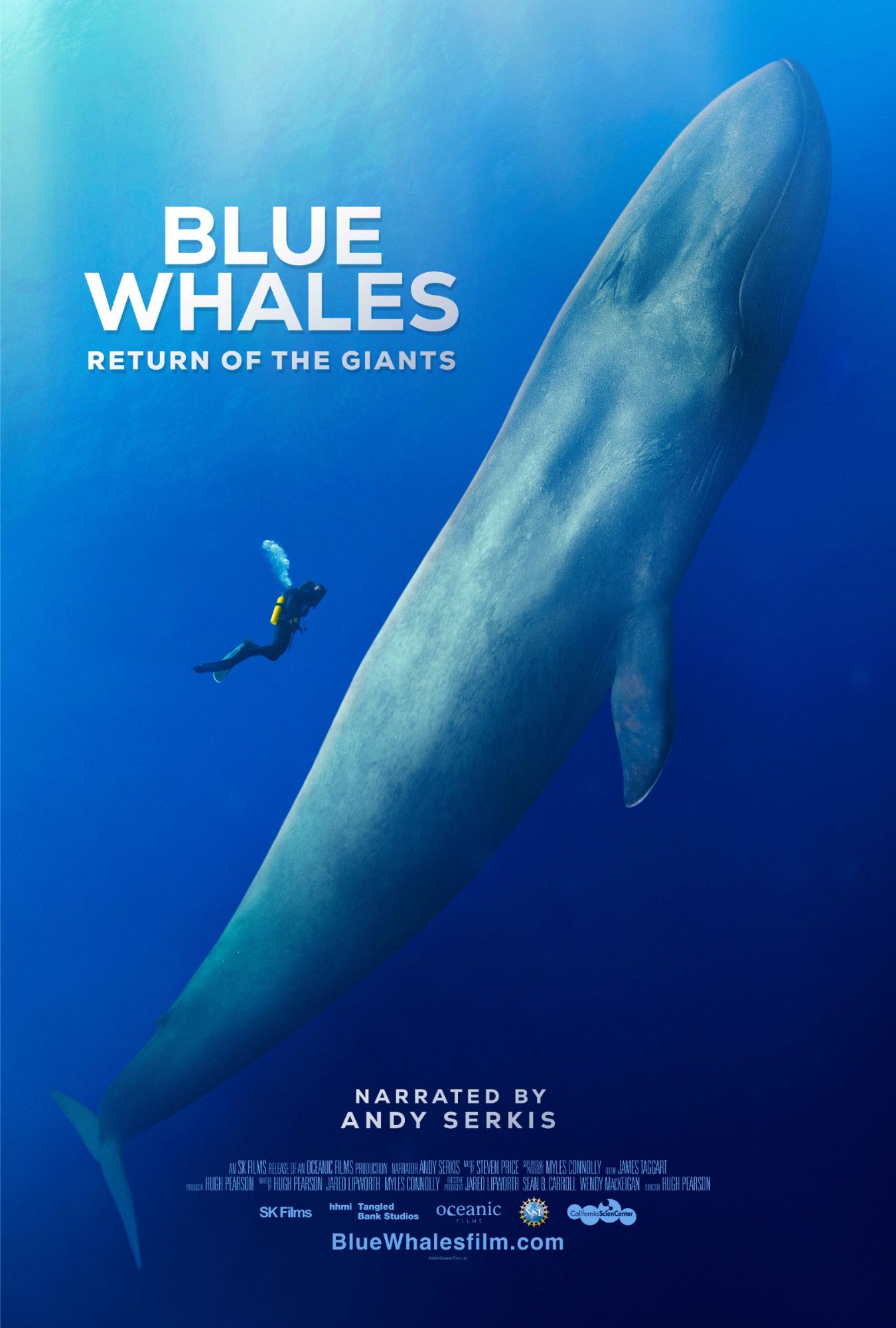 blue whales web poster