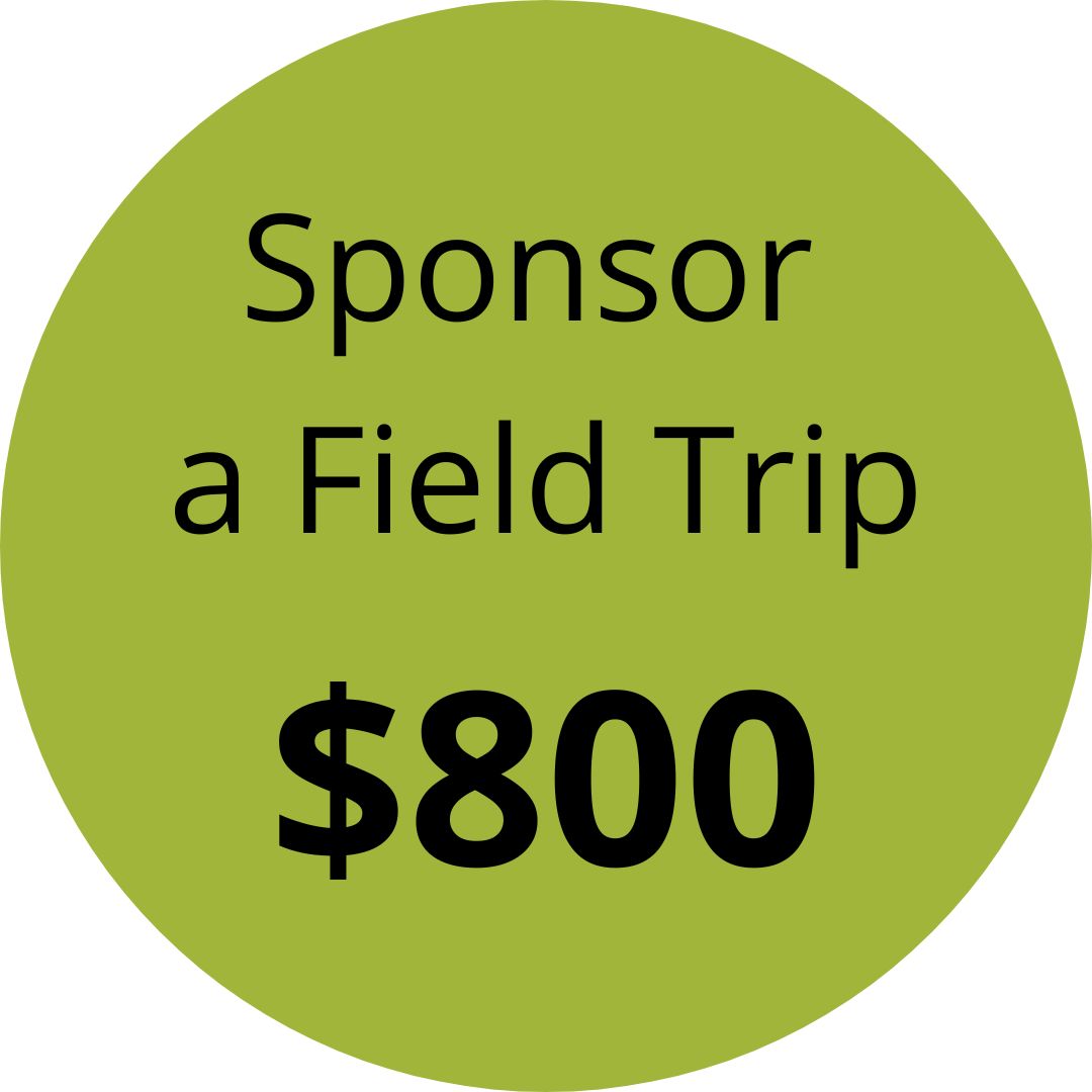 Sponsor a field trip for $800