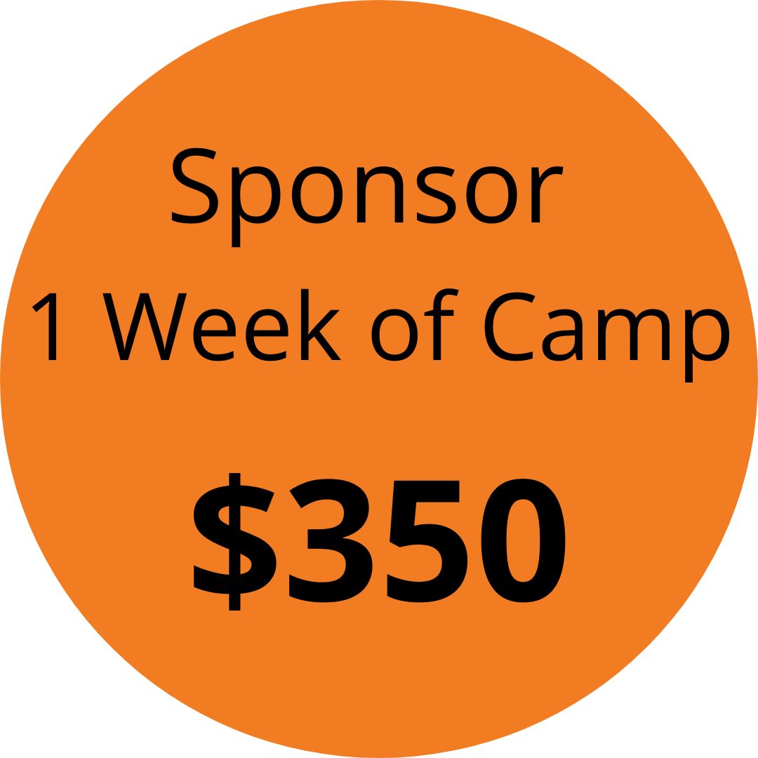 Sponsor a child for one week of summer camp for $350