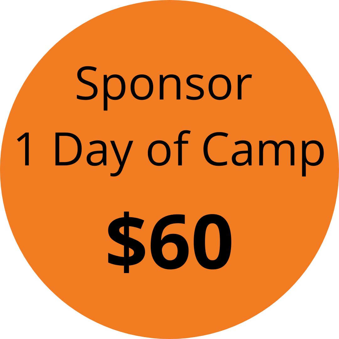 Sponsor a child for one day of summer camp for $60