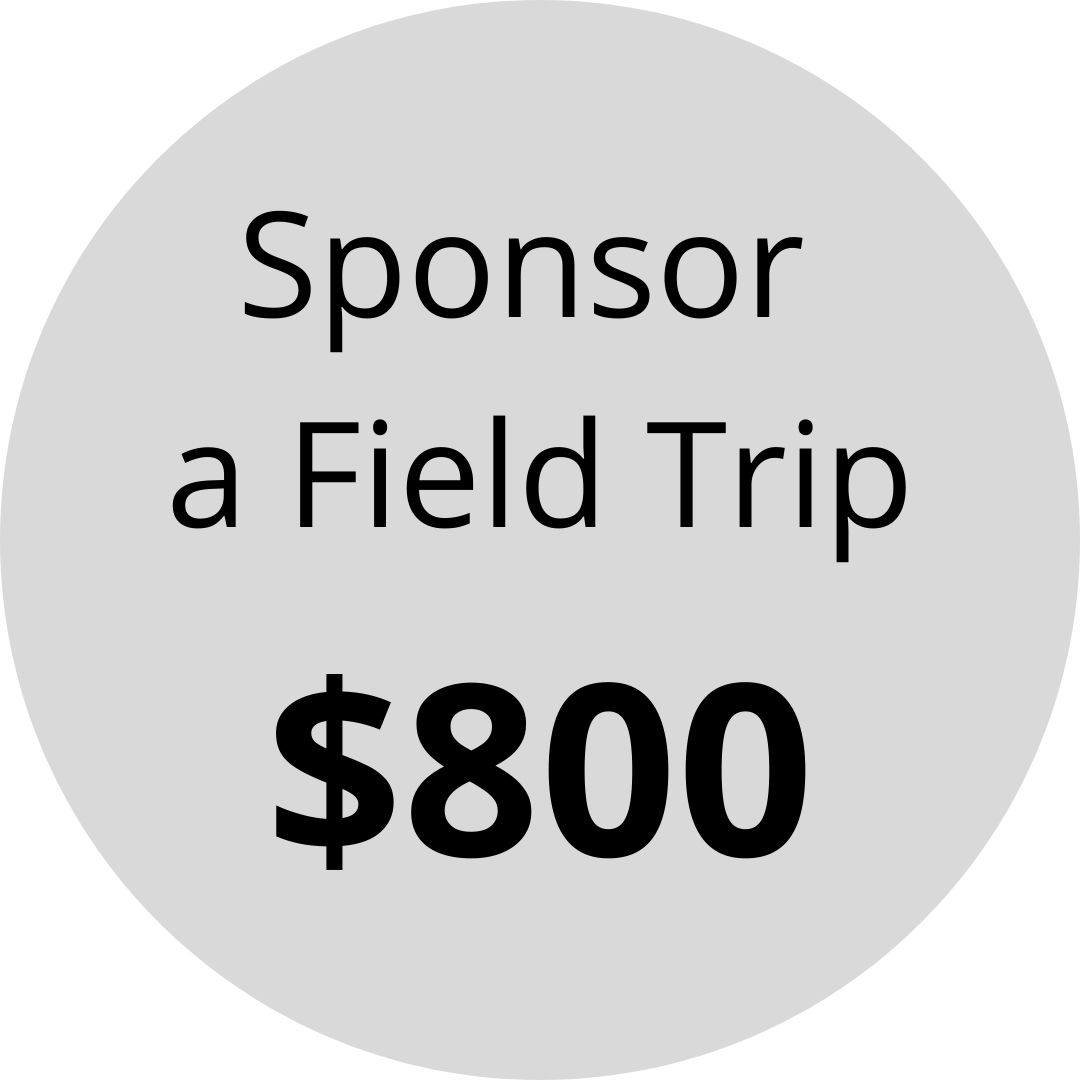 Sponsor a field trip for $800