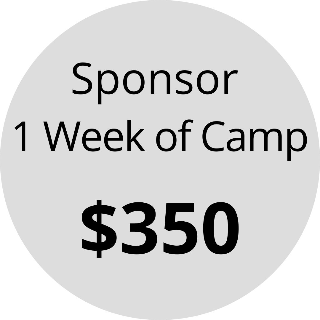 Sponsor a child for one week of summer camp for $350