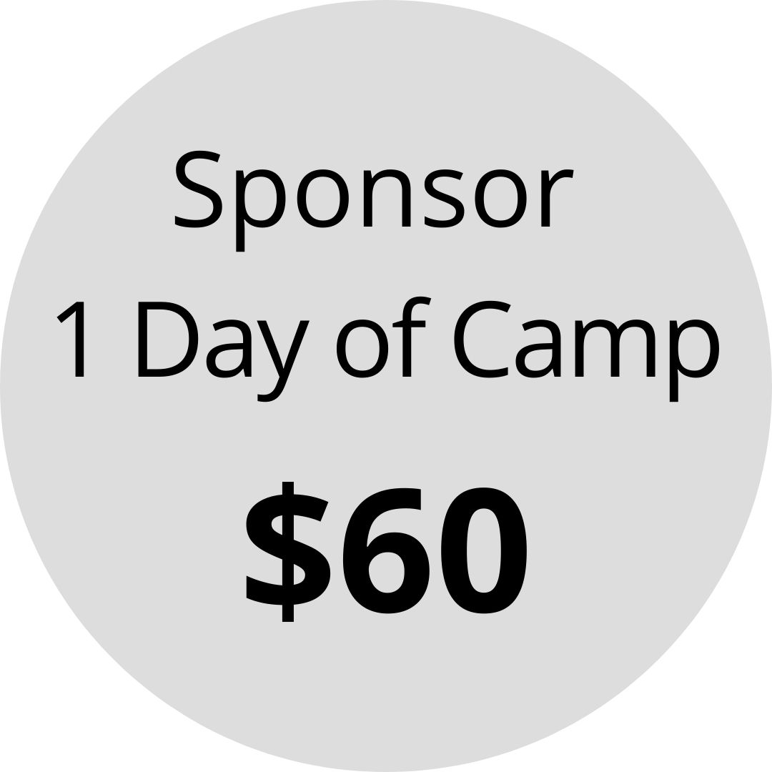 Sponsor a child for one day of summer camp for $60
